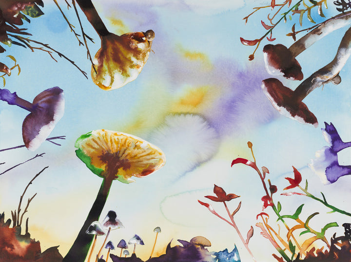 Mushrooms