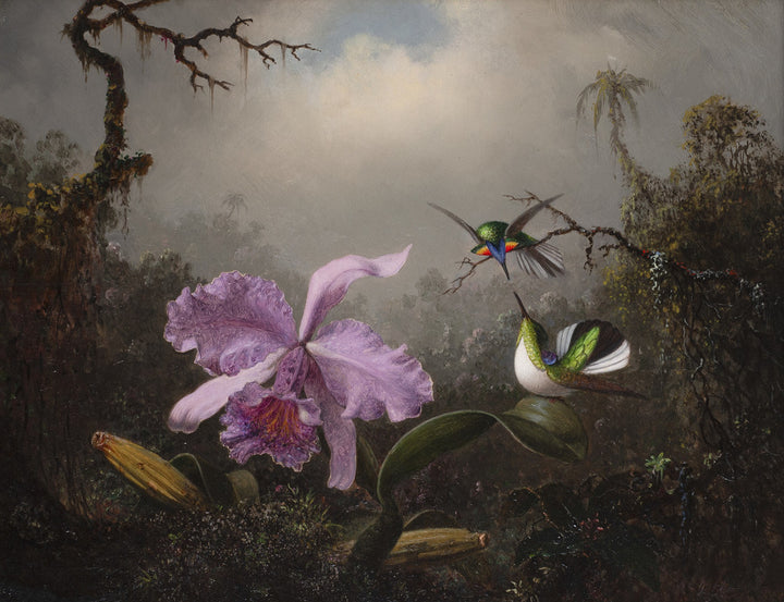Cattleya Orchid with Two Brazilian Hummingbirds