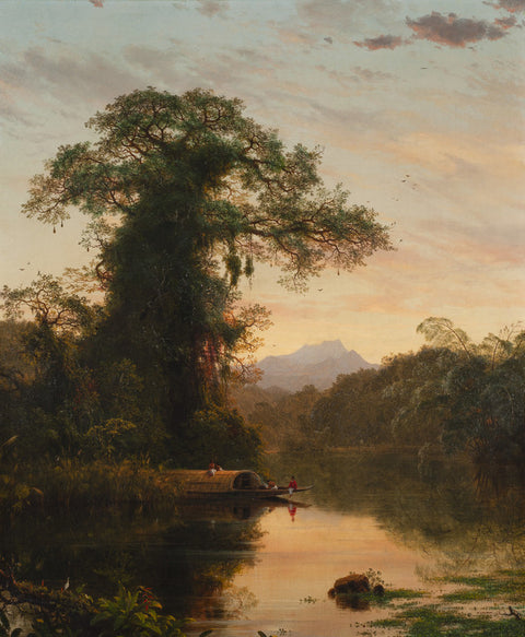 South American Landscape