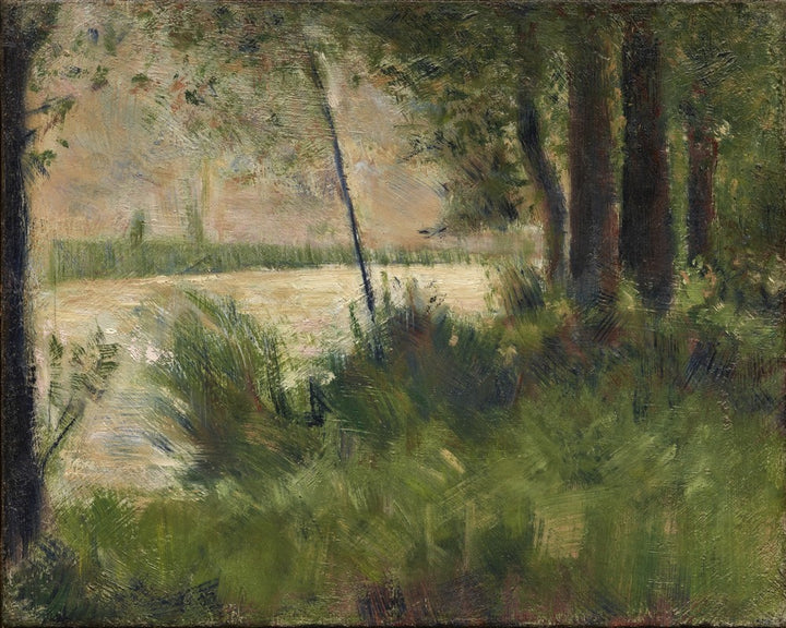 Grassy Riverbank