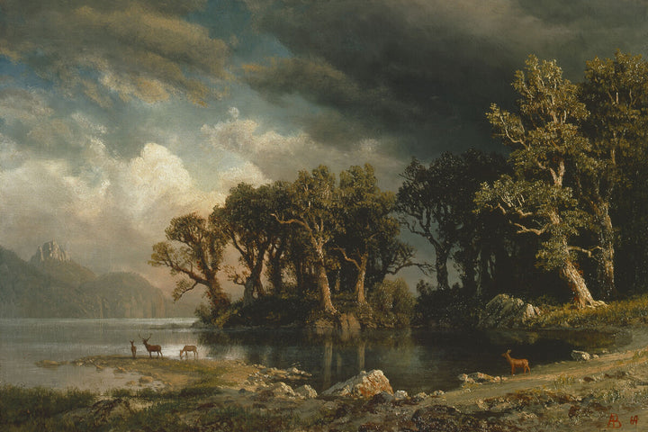 The Coming Storm