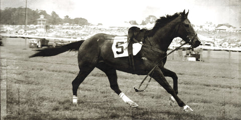 Steeple Chase No.5