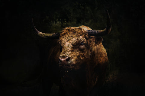 Butch No. 2