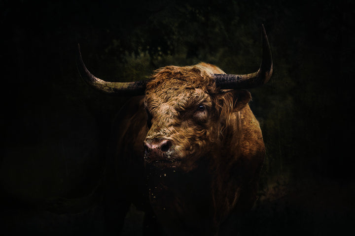 Butch No. 2