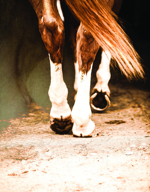 happy trails