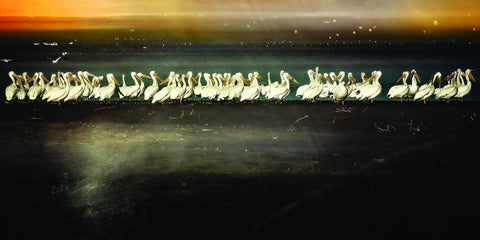Migrate