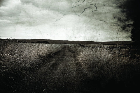Path