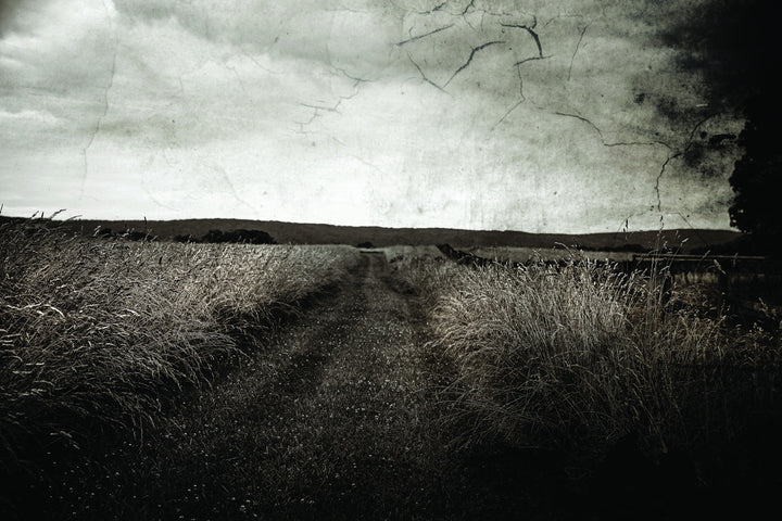 Path