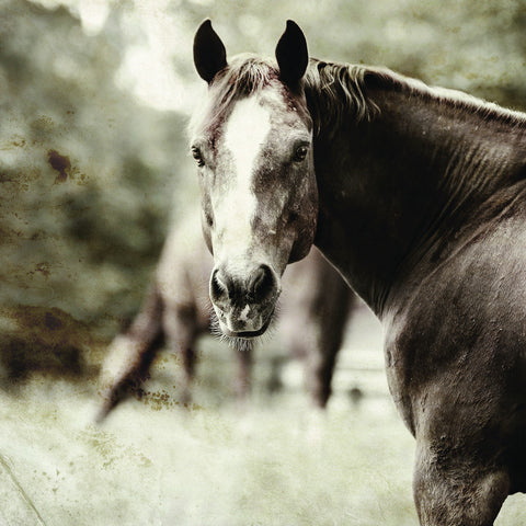 Romeo