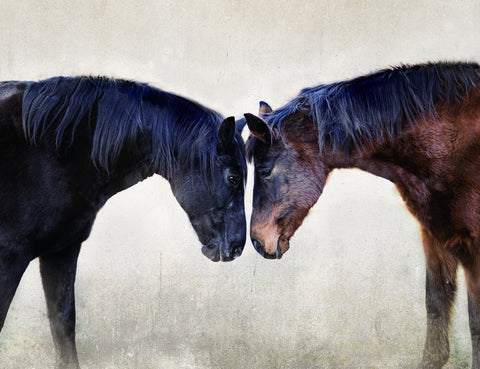 Seeing Souls