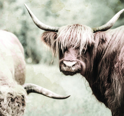 three horns