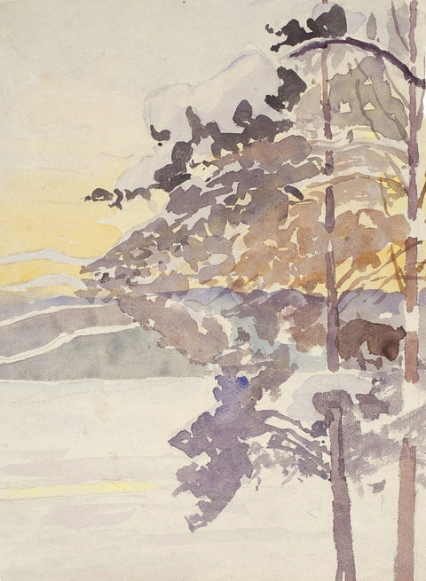 Pines in Winter Landscape