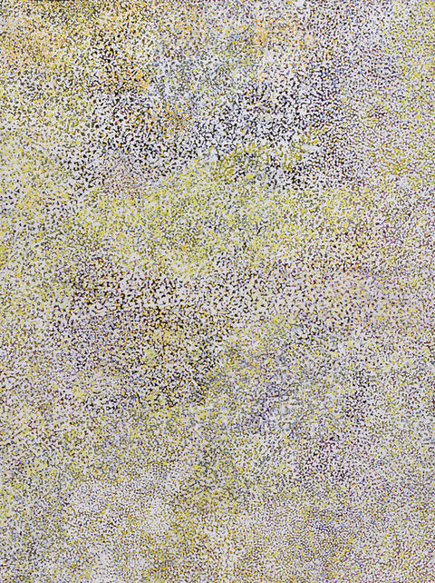 Bush Plum Country