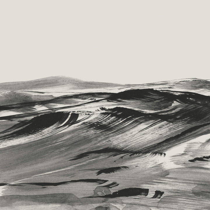 Black and white photograph depicting layered, undulating terrain with striations and shadows creating a dramatic, wave-like landscape composition.