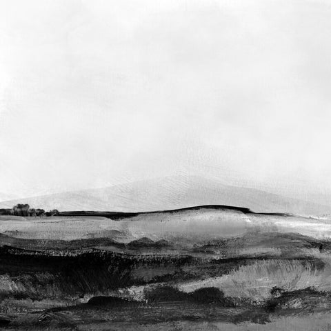Mono Landscape 1