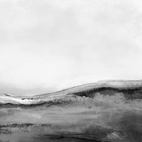 Mono Landscape 2