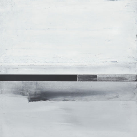 LS No. 218