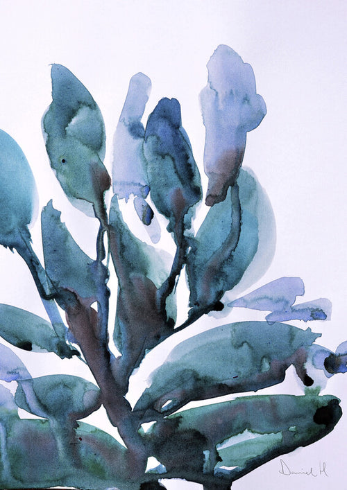 Blue Plant