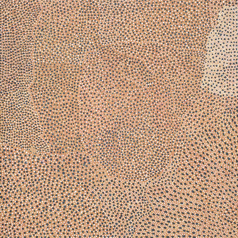Mick Namarari Tjapaltjarri