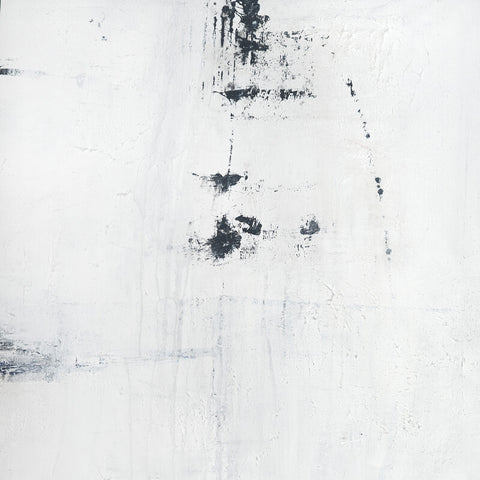 No. 224