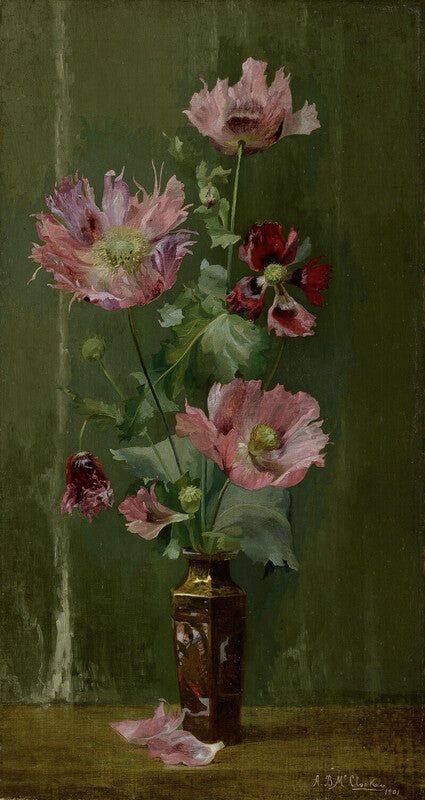 Matija Poppies