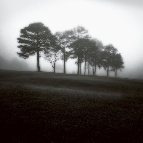 Jamie Cook