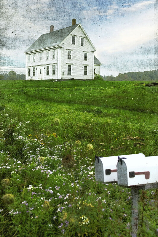 A white saltbox house stands in a green meadow with wildflowers and a mailbox in the foreground under a cloudy sky.