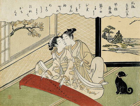 Geese descending on the Koto Bridges, illustration from the series 'Eight fashionable parlour views'