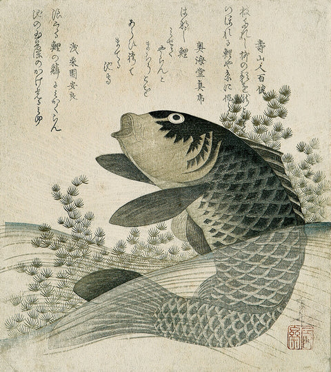 Carp Among Pond Plants