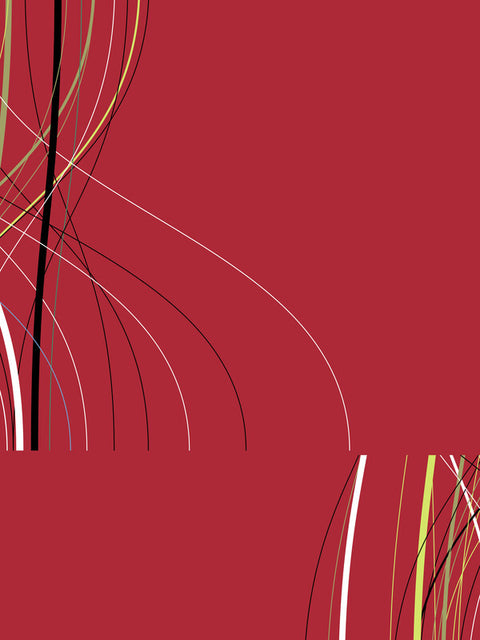 fracture 1