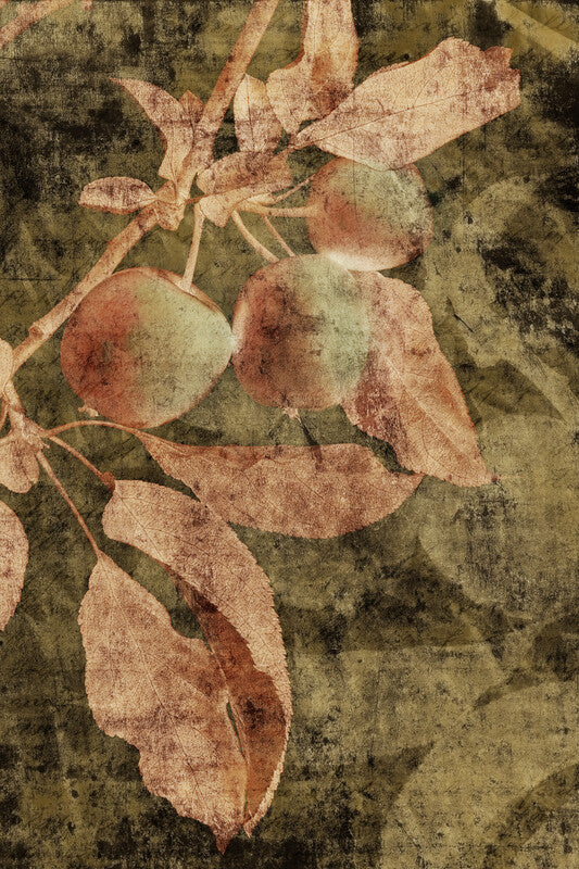 Vintage apples on a branch with leaves against a mottled green and brown textured background.