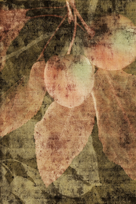 Vintage-style artwork depicting pale apples on branches with muted green, brown, and cream tones throughout.
