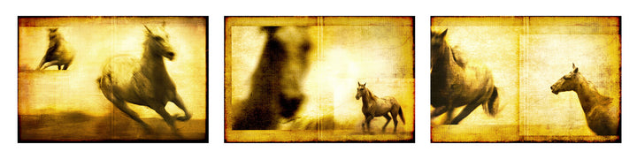 Three sepia-toned panels depicting horses in motion against golden-brown backgrounds with varying degrees of focus and blur.