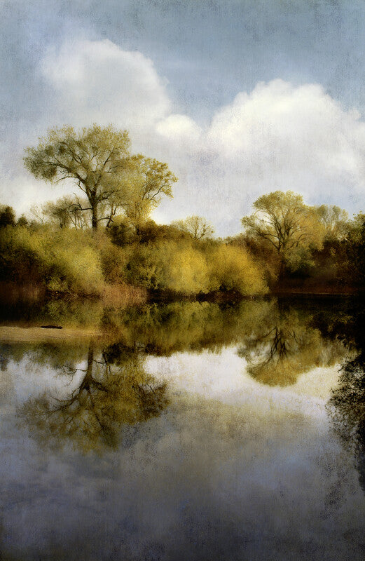 A serene landscape painting depicts trees reflected in still water beneath a cloudy sky, rendered in muted greens, blues, and whites.