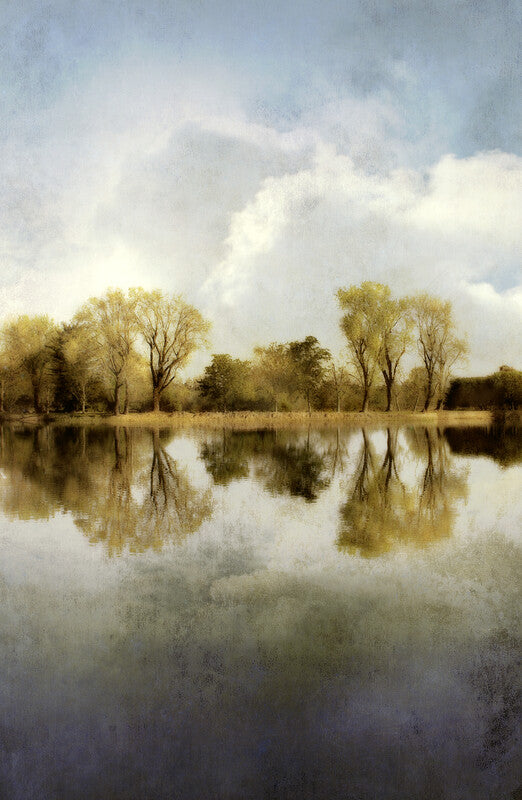 Trees line a calm lake with perfect reflections under a cloudy sky in muted greens, blues, and whites.