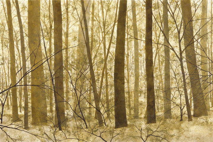 A misty forest of tall tree trunks with bare branches in muted beige, brown, and cream tones.