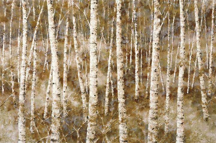 Vertical birch tree trunks with white bark arranged densely across a warm brown and golden background.