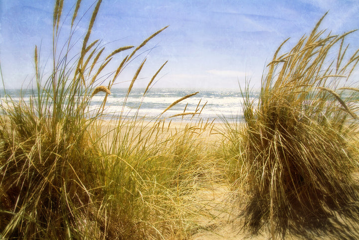 Sandy beach pathway framed by golden dune grass with ocean and sky in the background.