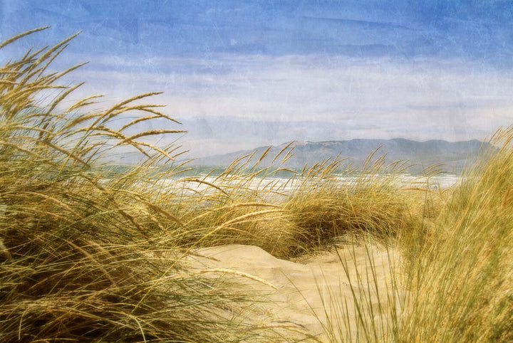 Golden dune grass frames a sandy beach, distant water, and blue-grey mountains under a pale sky.