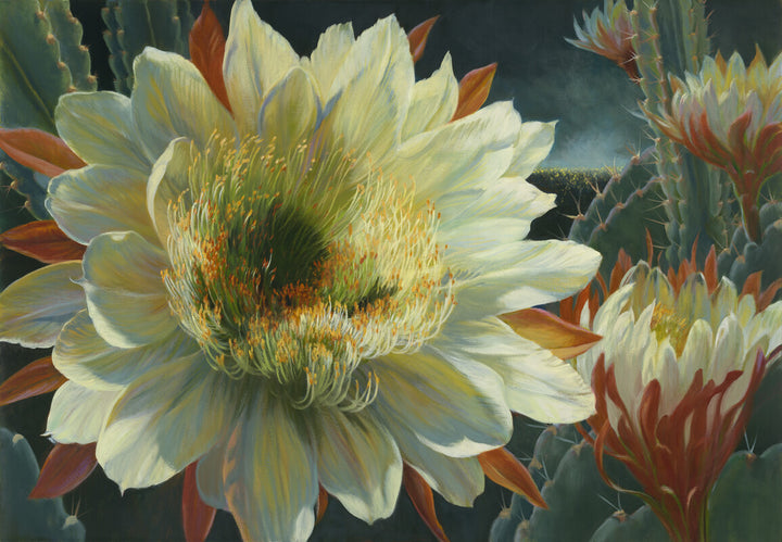 A large pale yellow cactus flower with prominent stamens surrounded by red-tipped buds and green cacti against a dark background.