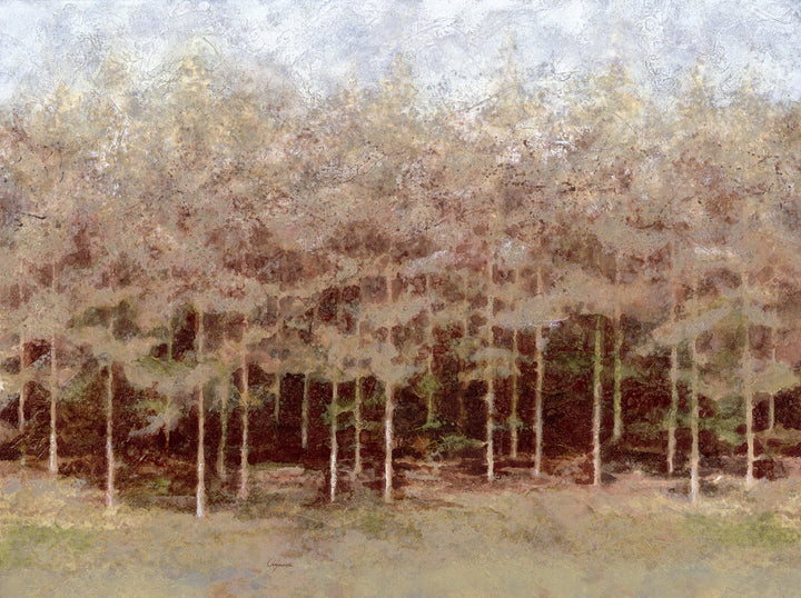 A misty forest landscape with tall evergreen trees rendered in muted greens, browns, and whites.