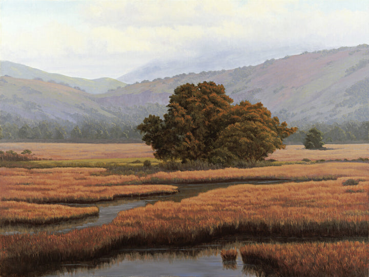 A solitary tree with golden foliage stands among reddish-brown wetland grasses beside a winding stream, with forested hills in the background.