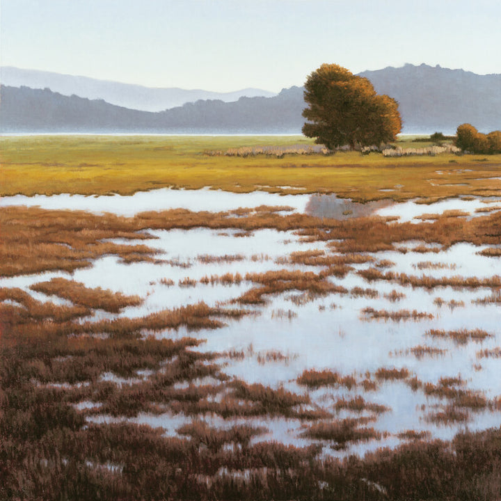 Wetland landscape with brown marsh grasses, shallow water reflections, golden trees, and distant mountains under pale sky.