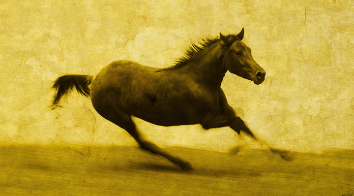 A dark horse gallops across a textured yellow background in this artwork by Doug Landreth.