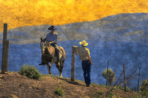 Cowboys