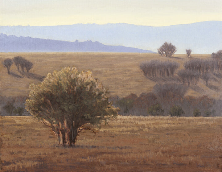 A solitary tree stands in a dry, golden field with distant mountains and scattered trees beneath a hazy blue sky.
