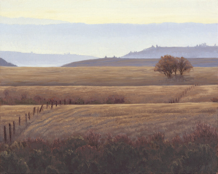Rolling golden fields with fences, a solitary tree, distant hills, and misty mountains beneath a pale sky.
