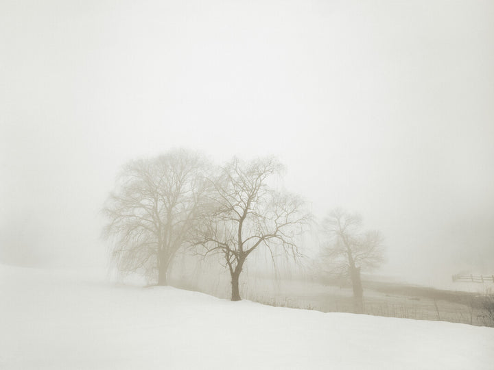 Bare trees and wooden fence emerge from snow in heavy fog under a white sky.