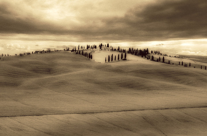 Rolling Tuscan hillside with cypress trees and villa under dramatic cloudy sky in sepia tones.