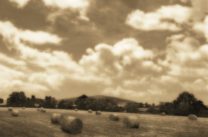 Sepia-toned landscape featuring scattered hay bales in a field with trees and rolling hills beneath a cloudy sky.